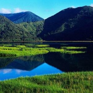 NEW ZEALAND IS CLEAN AND GREEN...BUT NO LONGER UNSPOILT. 